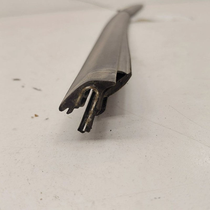 Chevy Volt Door Glass Window Weather Strip Trim Front Right Passenger 