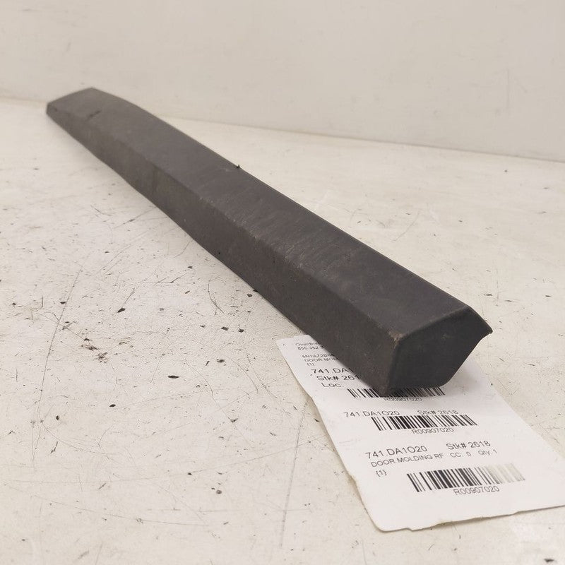Nissan Murano Door Molding Trim Strip Right Passenger Side Front  2020