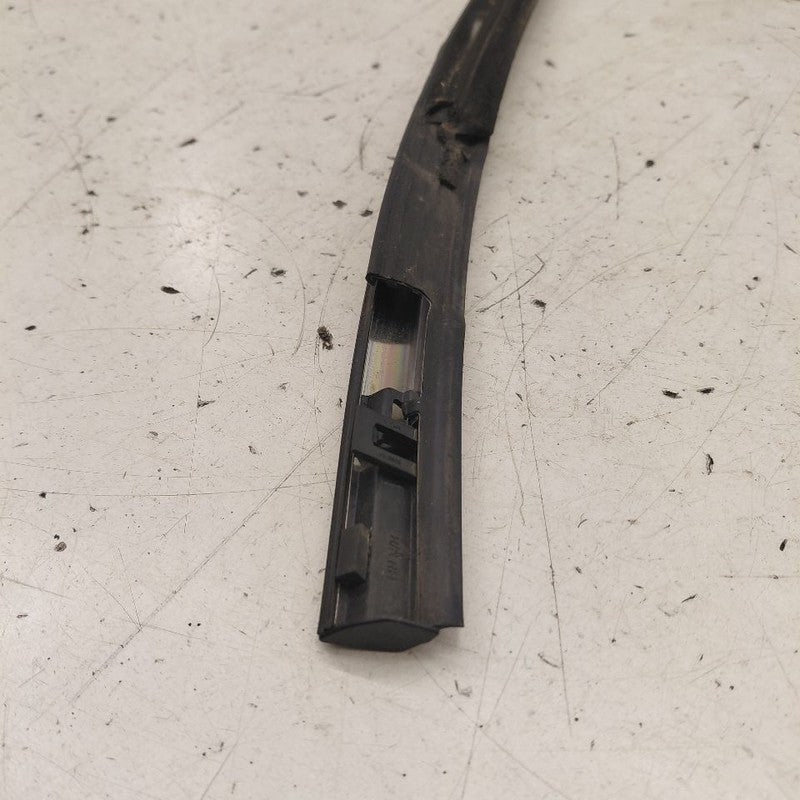 Nissan Murano Door Window Weather Strip Trim Rear Right Passenger Side