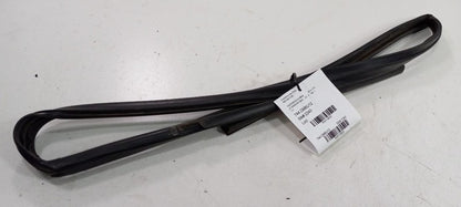 Cadillac CTS Door Glass Window Seal Rubber Left Driver Front 2010 2011 2012 2013
