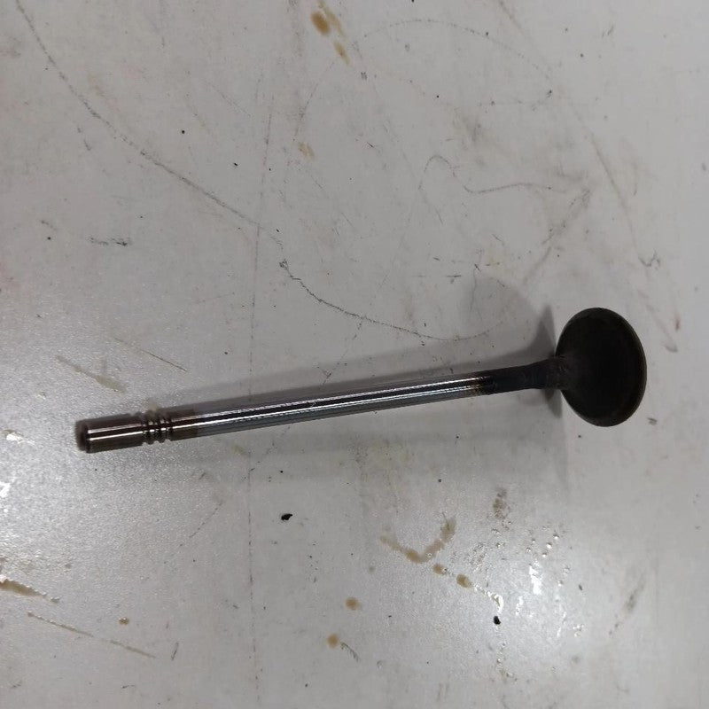 Jeep Compass 2.4 Cylinder Head Exhaust Valve 2017 2018 2019 2020 2021 2022 2023