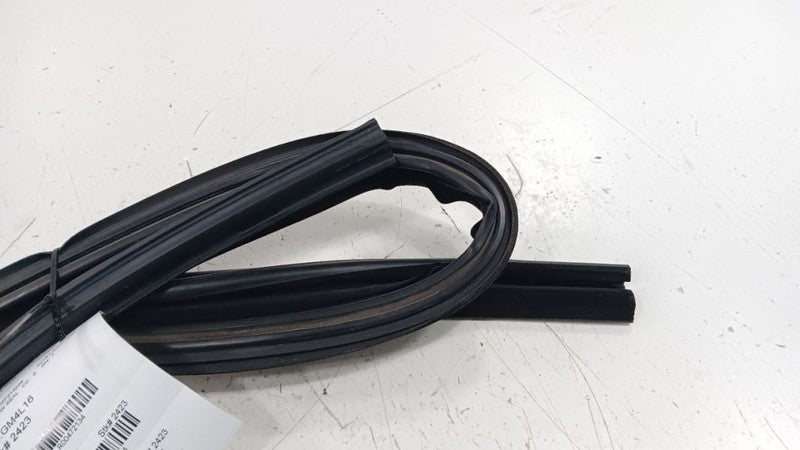Buick Lacrosse Door Glass Window Seal Rubber Right Passenger Front 201