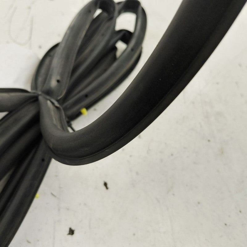 Ford Escape On Door Seal Rubber Right Passenger Rear Back  2022 2023 2
