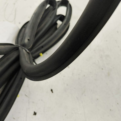 Ford Escape On Door Seal Rubber Right Passenger Rear Back  2022 2023 2