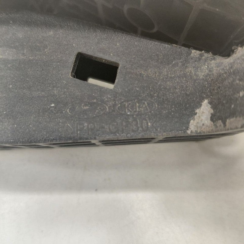 Hyundai Santa Fe Gas Pedal  2019 2020