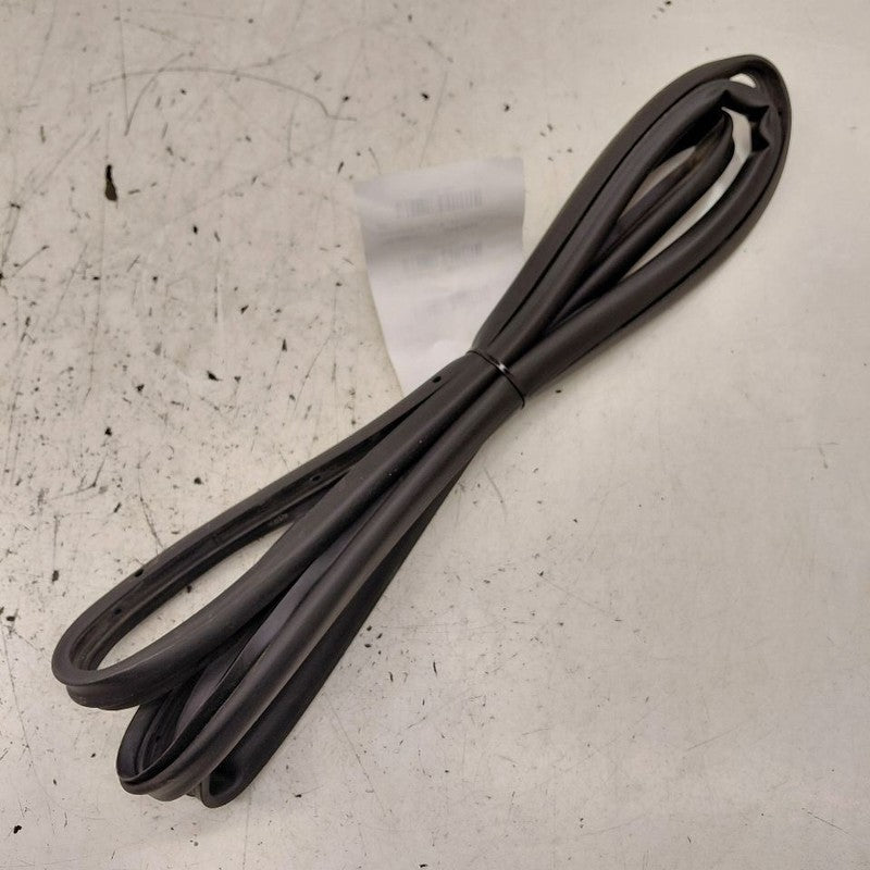 Cadillac CT6 On Door Seal Rubber Left Driver Rear Back  2018 2017 2016
