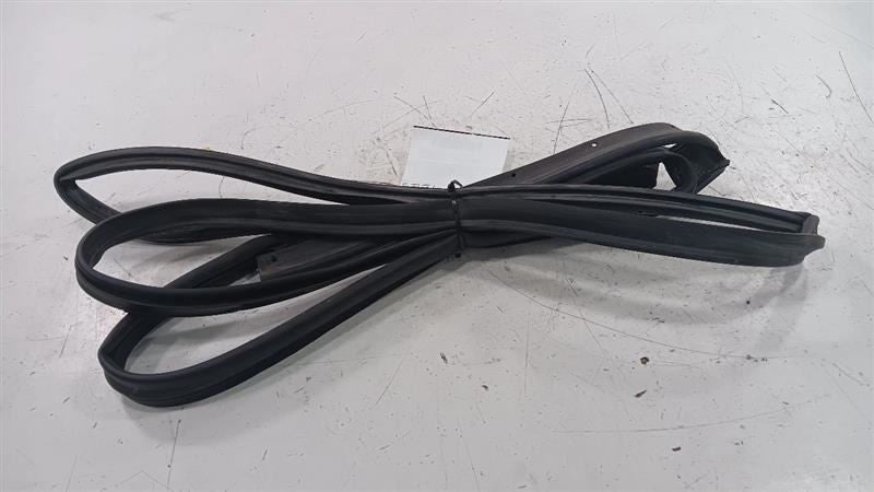 Nissan Rogue On Door Seal Rubber Right Passenger Rear Back  2014 2015 