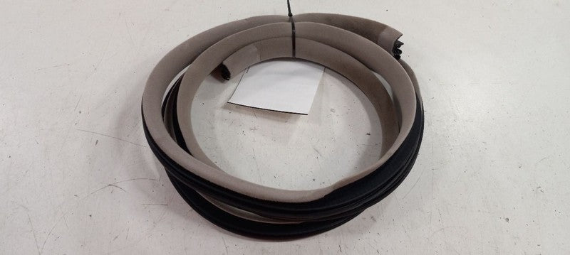 Hyundai XG350 On Body Door Jamb Seal Gasket Front Left Driver 2003 200