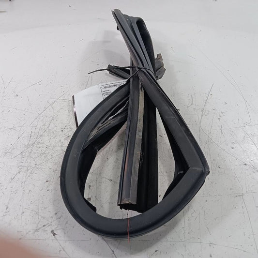Fiat 500 Door Glass Window Seal Rubber Right Passenger Front 2018 OEM