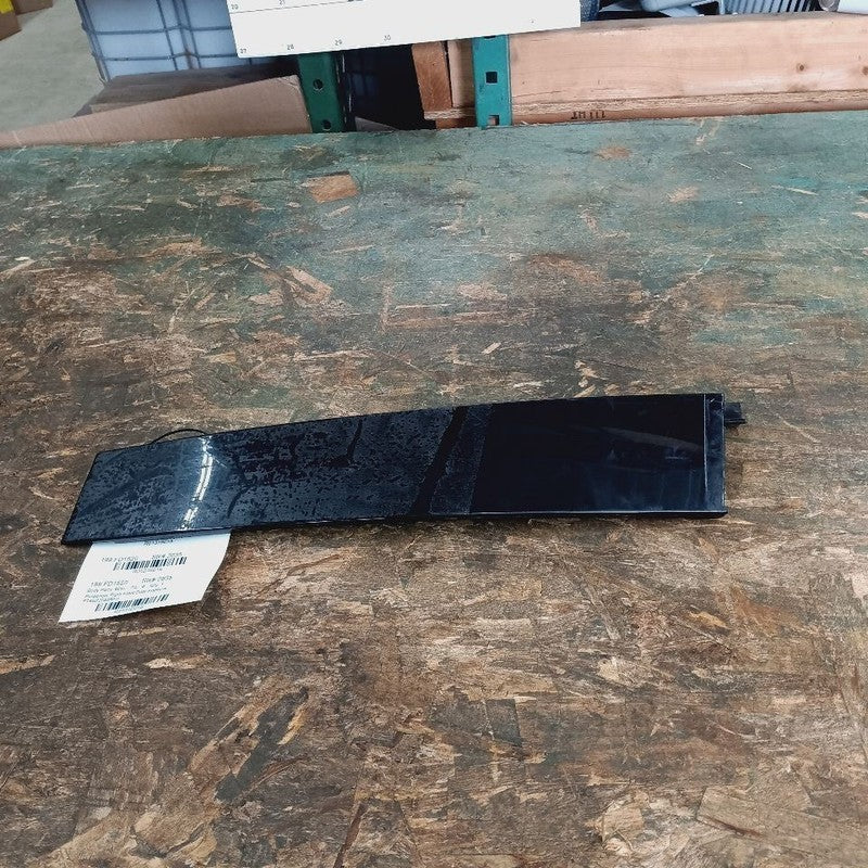 Ford Edge Passenger Right Front Door Applique {FT4BR20898AH} 2019 2020