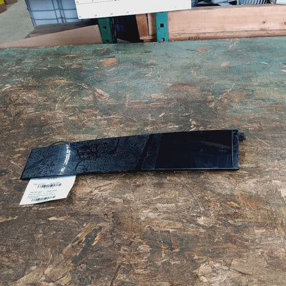 Ford Edge Passenger Right Front Door Applique {FT4BR20898AH} 2019 2020