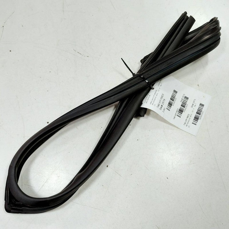 Hyundai Elantra Door Glass Window Seal Rubber Right Passenger Rear Bac