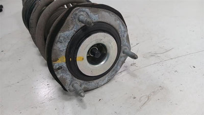 Passenger Right Strut Rear RWD Without Air Suspension Fits 07-12 LEXUS