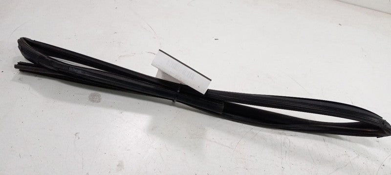 Kia Soul Door Glass Window Seal Rubber Right Passenger Rear Back 2012 