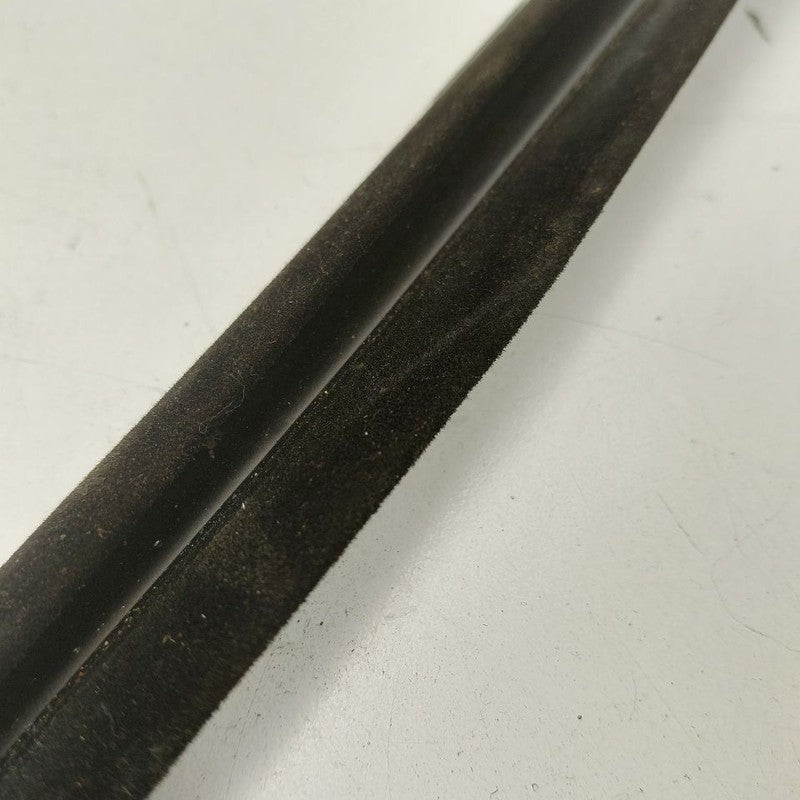 Nissan Maxima Left Rear Weather Strip Interior  2018 2017 2016 OEM