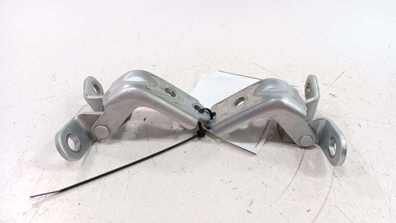 Hyundai Sonata Door Hinge Set Right Front Passenger 2018 2019 OEM