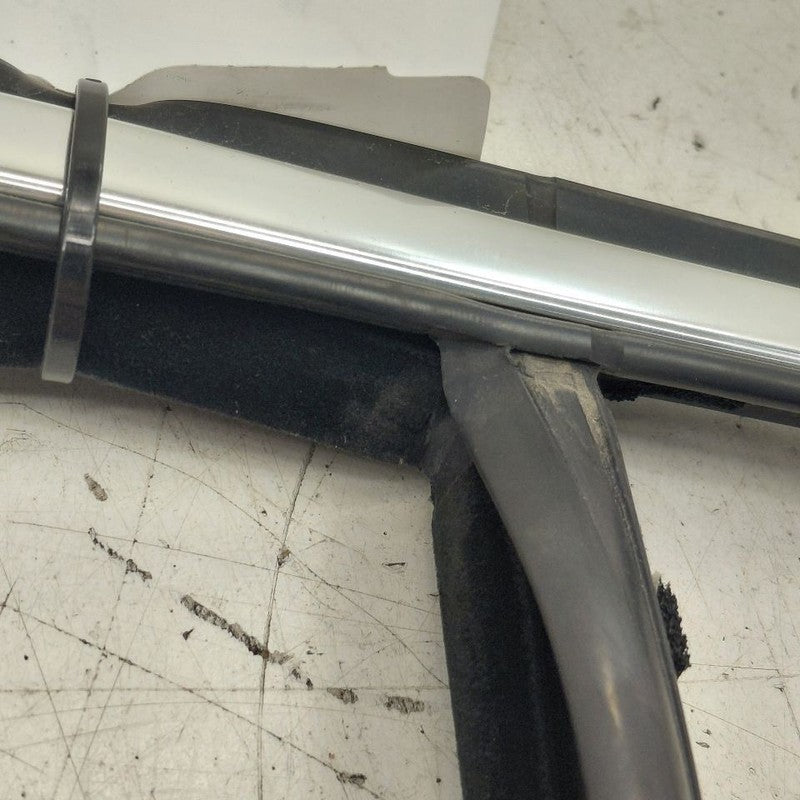 Volvo S60 Door Glass Window Seal Rubber Left Driver Rear Back  2018 20