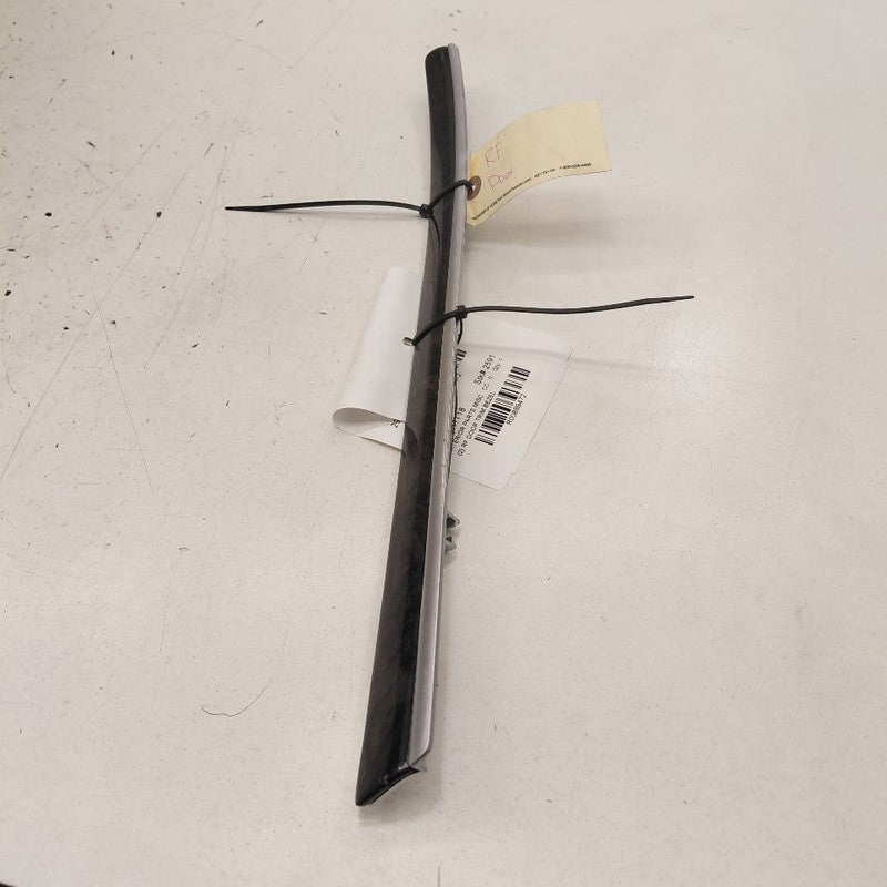 Chrysler 300 Passenger Right Front Door Trim Bezel 2017 2018 2019