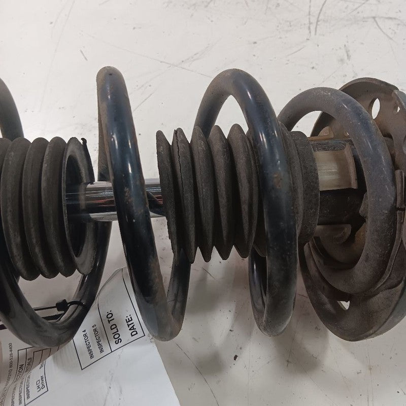 Passenger Right Strut Fits 18-22 Ford Ecosport OEM