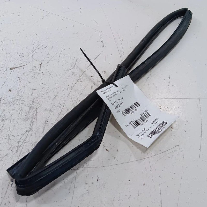 Hyundai Accent Door Glass Window Seal Rubber Left Rear Back 2014 2015 201