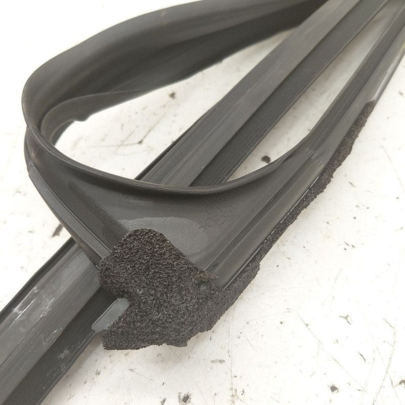 Honda HR-V Door Glass Window Seal Rubber Left Driver Rear Back  2026 2