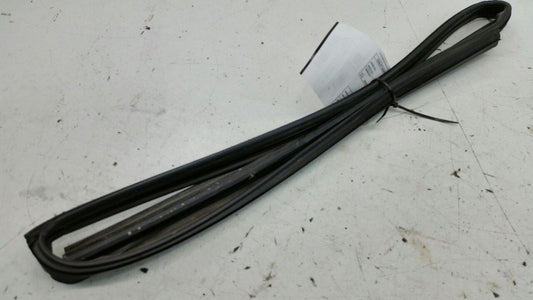 2006 Nissan Maxima Door Glass Window Seal Rubber Gasket Left Rear Back