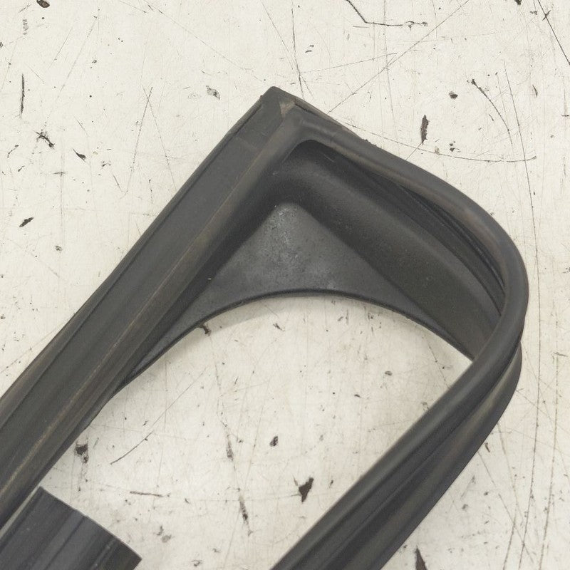 Nissan Rogue Door Glass Window Seal Rubber Left Driver Rear Back  2021