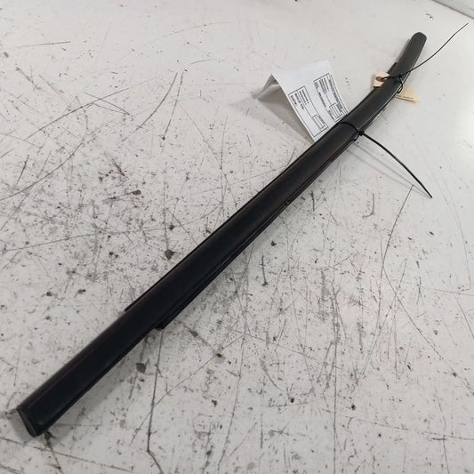 Jeep Compass Door Glass Window Weather Strip Trim Rear Left Back  2018 20