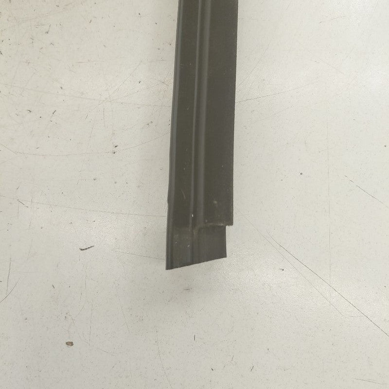 Buick Encore GX Door Glass Window Weather Strip Trim Front Left Driver