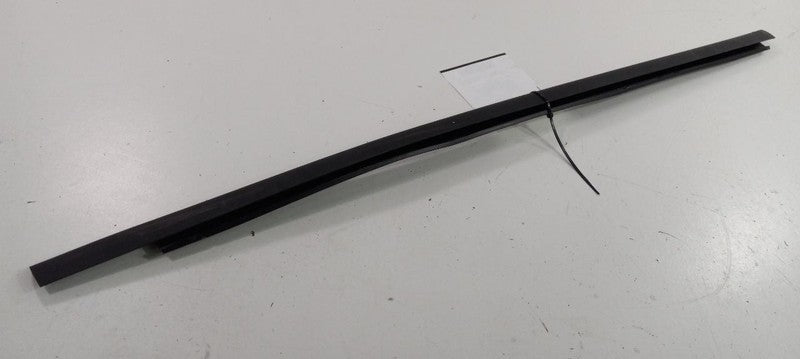 Dodge Journey Door Glass Window Weather Strip Trim Front Right Passeng