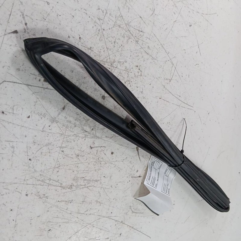 Nissan Maxima Door Glass Window Seal Rubber Right Passenger Rear Back 