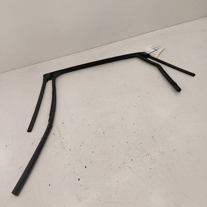 Ford Escape Door Glass Window Seal Rubber Right Passenger Rear Back  2