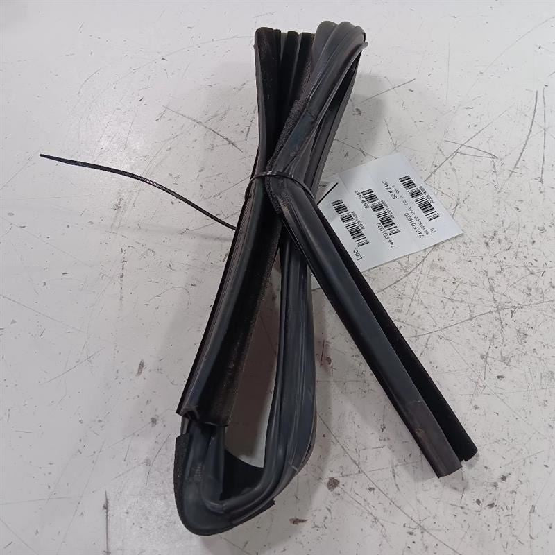 Ford Ecosport Door Glass Window Seal Rubber Right Passenger Rear Back 