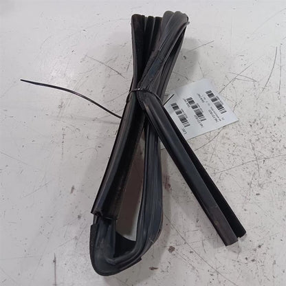 Ford Ecosport Door Glass Window Seal Rubber Right Passenger Rear Back 