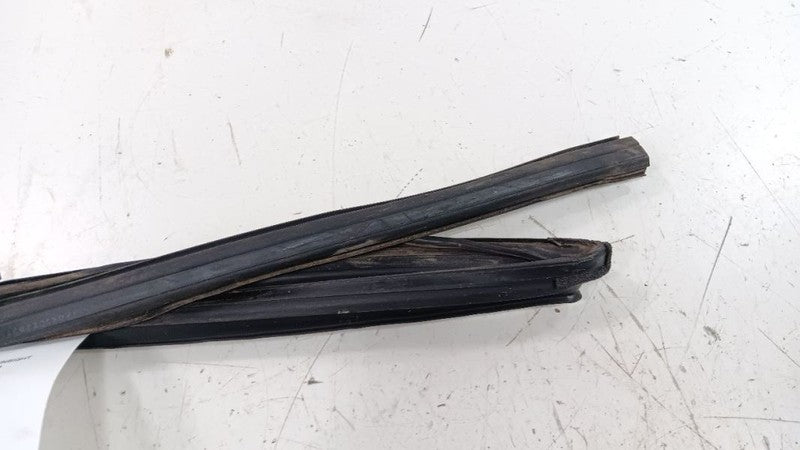 Honda Insight Door Glass Window Seal Rubber Right Passenger Rear Back 2010 2011 
