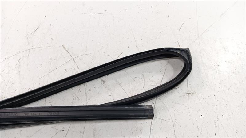 Kia Forte Door Glass Window Seal Rubber Right Passenger Rear Back 2016