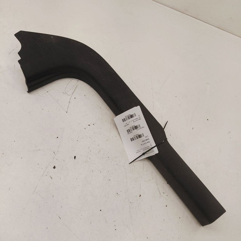 Chrysler 300 Sill Trim Plate Door Jam Threshold Left Driver Front 2017