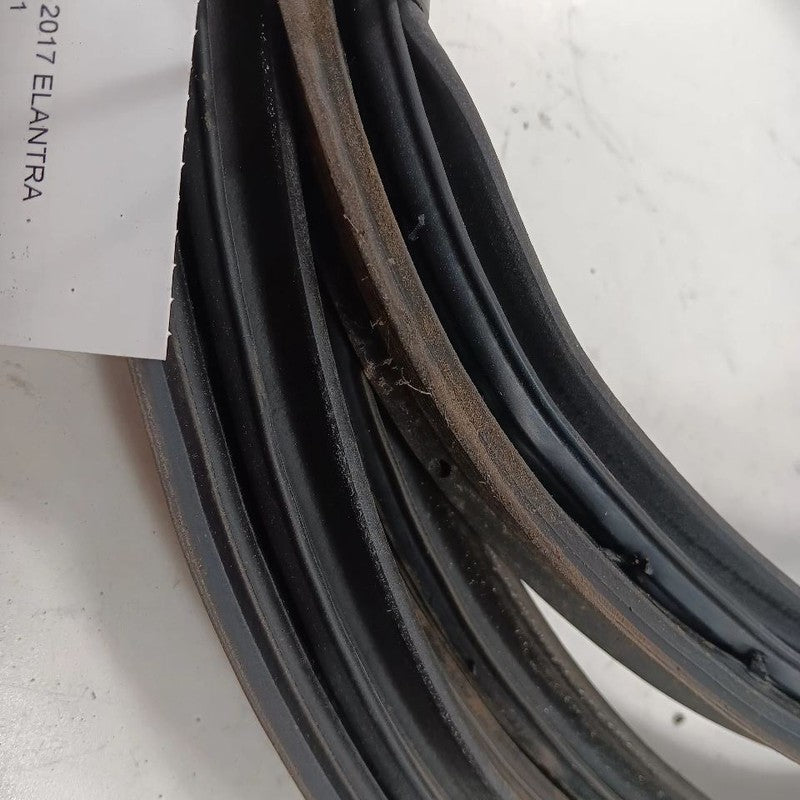 Hyundai Elantra Trunk Lid Hatch Door Rear Back Rubber Seal  2017 2016 2015 2014 