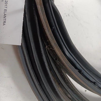Hyundai Elantra Trunk Lid Hatch Door Rear Back Rubber Seal  2017 2016 2015 2014 