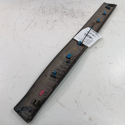 Jeep Compass Door Molding Trim Strip Left Driver Front  2021 2020 2019 2018 2017