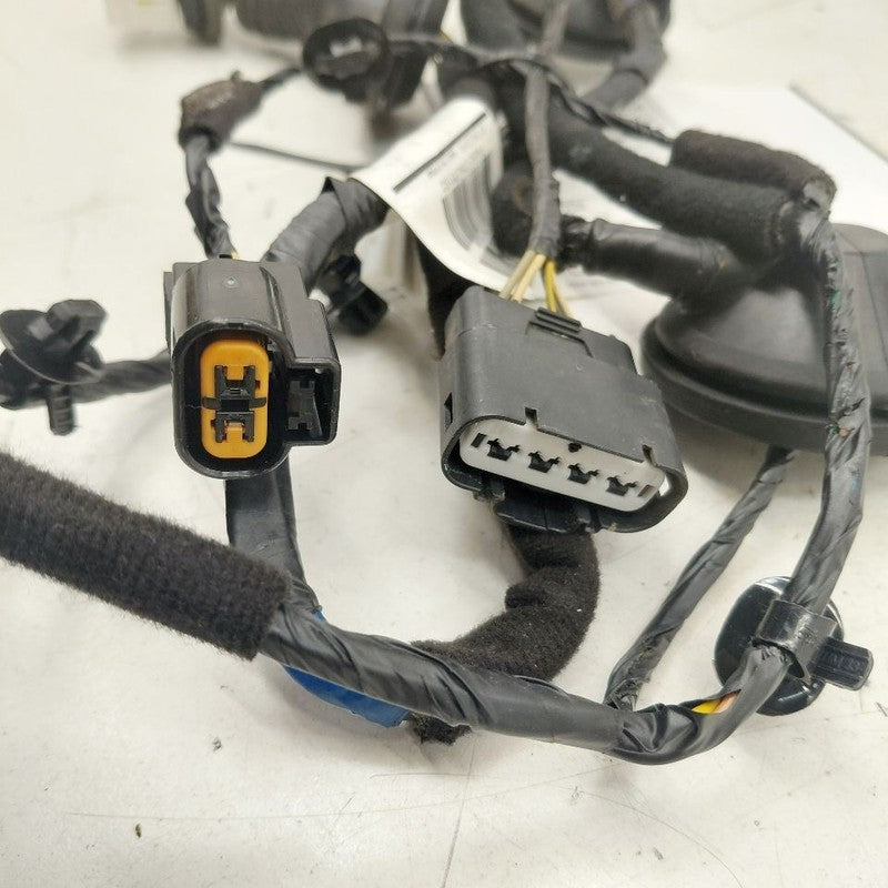 Kia Optima Door Harness Wire Wiring Left Driver Rear  2018 2017 2016 O