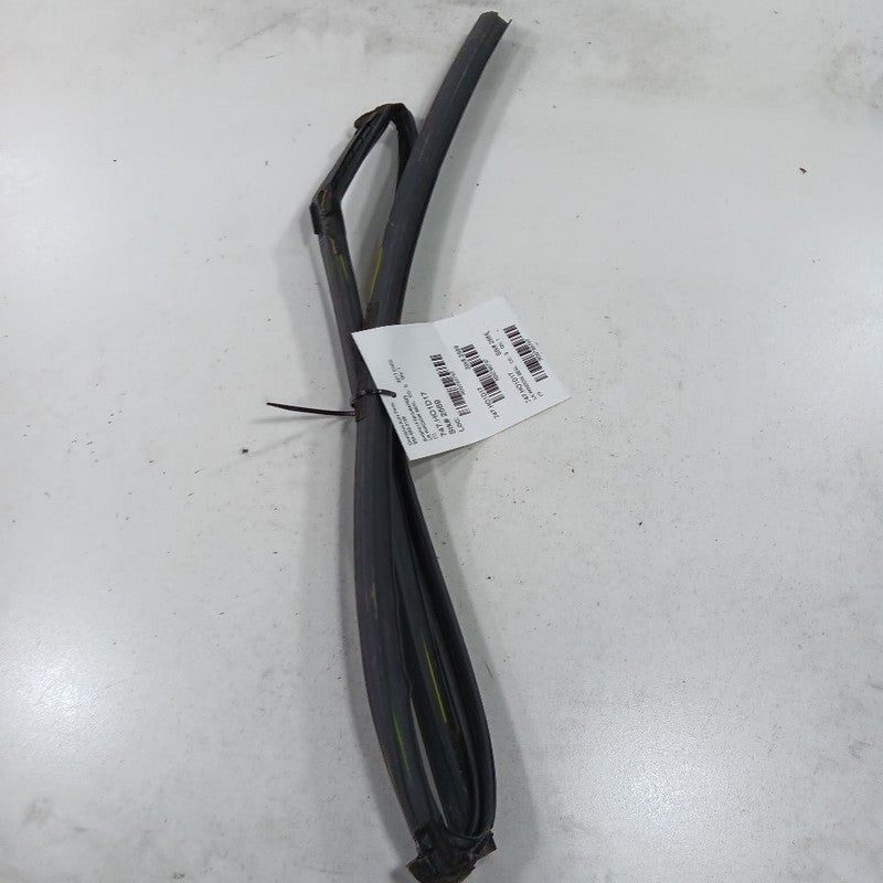 Honda Civic Door Glass Window Seal Rubber Left Driver Rear Back  2018 2017 2016