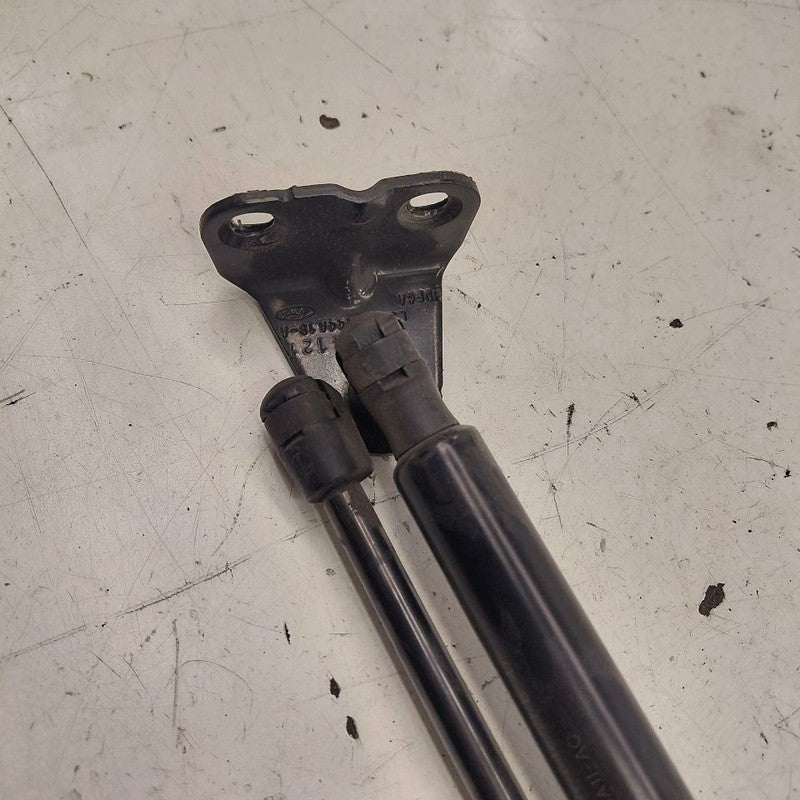 Ford Escape Hatchback Hatch Back Trunk Lid Shock Strut Support  2020 2