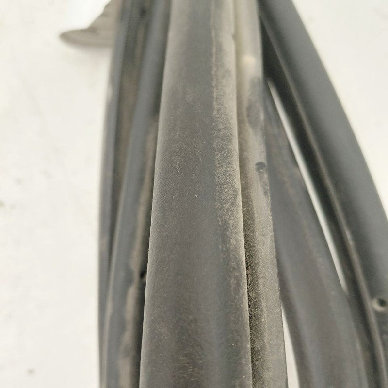 Chevy Volt On Door Seal Rubber Left Driver Front  2019 2018 2017 2016 