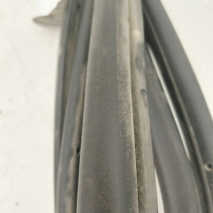 Chevy Volt On Door Seal Rubber Left Driver Front  2019 2018 2017 2016 