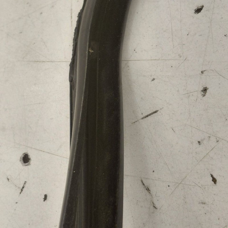 Ford Edge Door Glass Window Seal Rubber Right Passenger Rear Back 2019