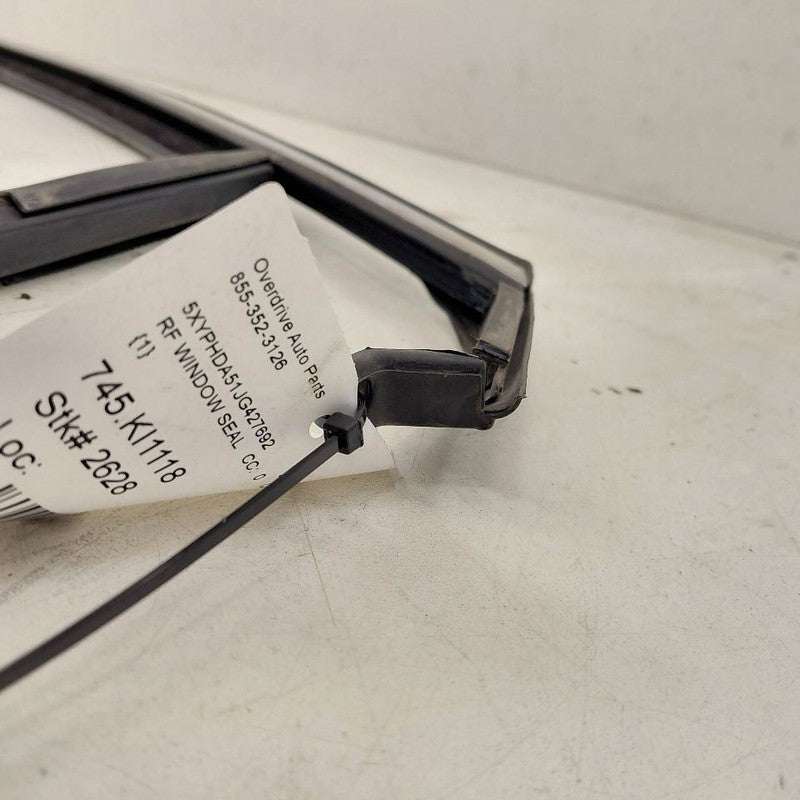 Kia Sorento Door Glass Window Seal Rubber Right Passenger Front  2018 