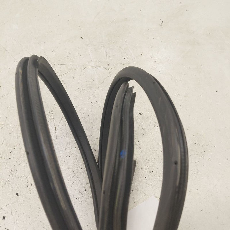 Nissan Murano On Body Door Jamb Seal Gasket Front Left Driver  2020 20
