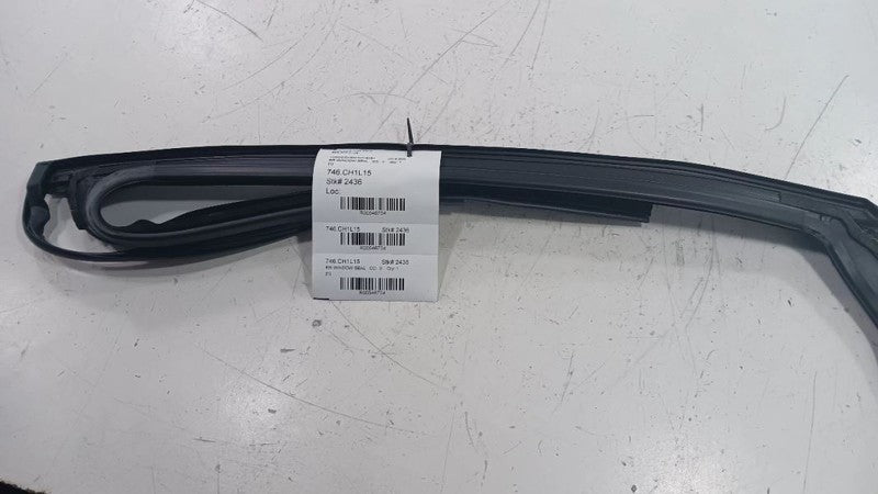 Chrysler 200 Door Glass Window Seal Rubber Right Passenger Rear Back  