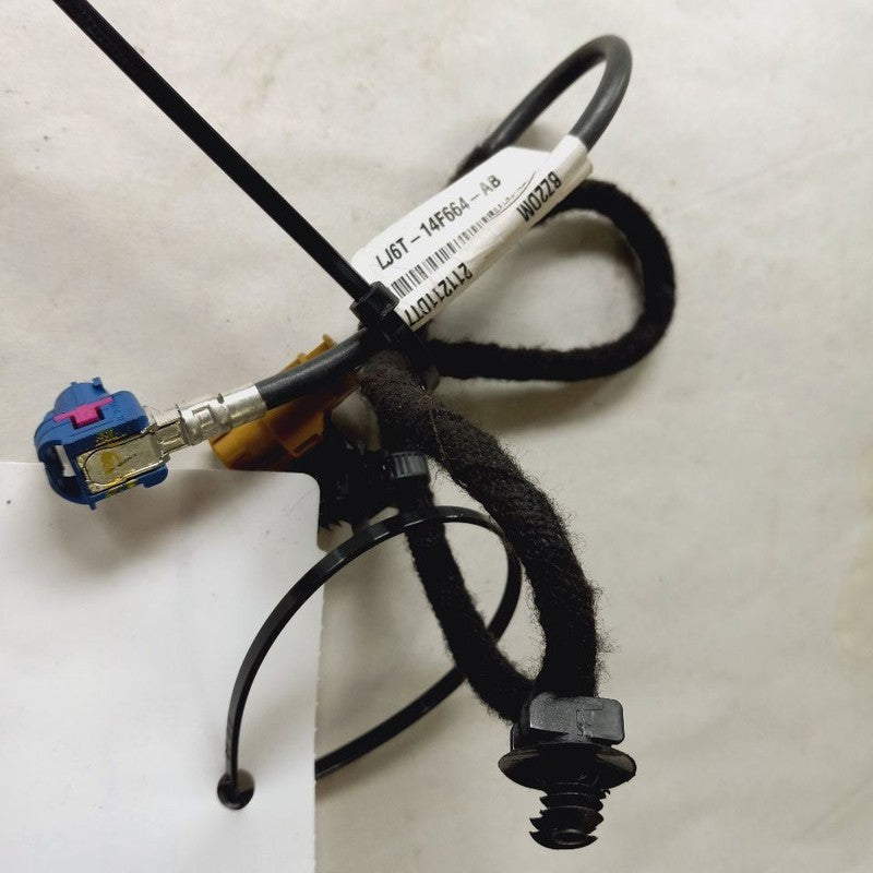 Ford Escape Antenna Wire {LJ6T14F66AB} 2022 2023 2024